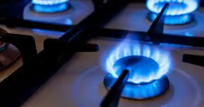 Grasso lanzó una advertencia que puede cambiar las facturas de gas en Santa Cruz