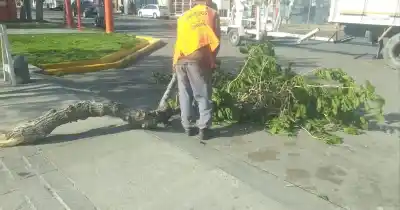 El Zonda golpeó a Chimbas: cuadrillas trabajaron a destajo en tres zonas y calle Tucumán se llevó lo peor