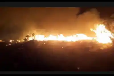 Otra vez el fuego en la zona sur: el detalle que los bomberos no pueden controlar