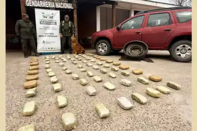 Lo pararon en un control de rutina en Copo y la perra "Yasí" marcó el auto: lo que hallaron adentro lo complicó aún más