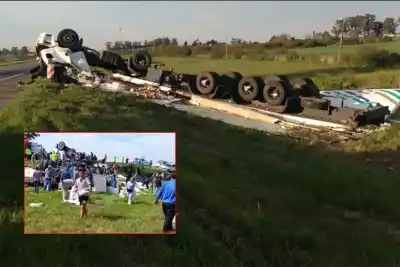 Volcó un camión con pollos en la ruta 14: lo que hicieron los vecinos con la carga