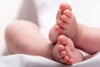 Pidió un fuentón con agua, dio a luz en el baño y la beba fue hallada sin vida: la justicia dejó libre a la madre