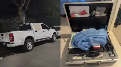 Viajaron a Córdoba a tratar a un oso con cáncer y el viaje terminó de la peor manera