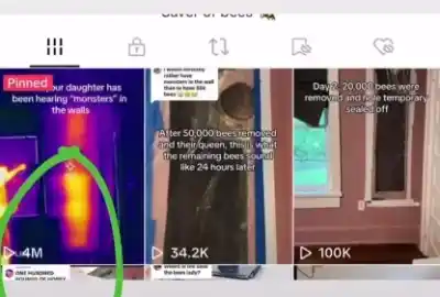 Una niña escuchaba ruidos en su cuarto y sus padres descubrieron algo inesperado en la pared