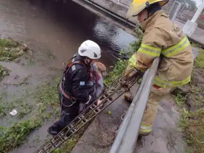 Bomberos de Monteros rescatan un perro de las aguas del arroyo