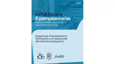 Seis becas para meterse en la nanotecnología que viene: el detalle que casi nadie mira