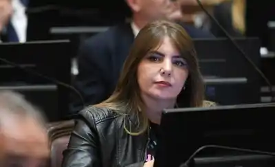 Votó el recorte de subsidios al gas y defendió su decisión: "Quien puede pagar el costo real, que lo haga"