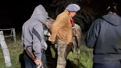 Entraron a un potrero de Monte Caseros con cuchillos y chairas: lo que dejaron los delató