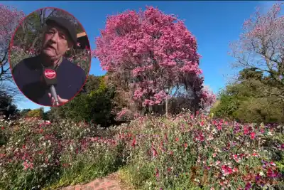 Plantó su primer jardín hace 40 años: lo que hay hoy en su casa de Paraná