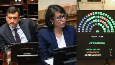 Votaron a favor del recorte al gas en el Sur: el impacto que sentirán los fueguinos
