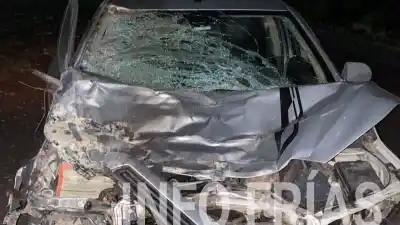 Viajaban por la 157 y un animal se les cruzó: terminaron en el hospital