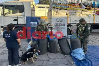 Gendarmes revisaron un camión que iba de La Quiaca a Buenos Aires y algo no cerró en el escáner