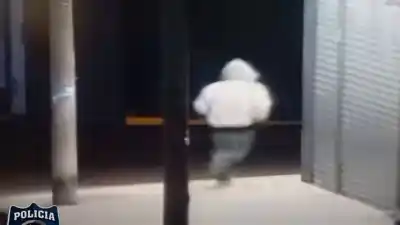 La siguió por la calle, le arrebató la cartera y huyó: lo que las cámaras del 911 captaron después