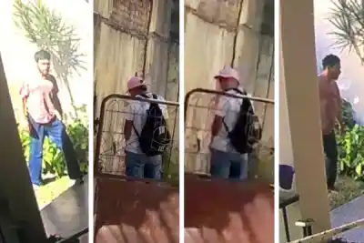 Viven a metros del semáforo de Belgrano y 3 de Febrero: lo que filmaron los tiene hartos