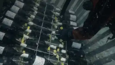 Río Negro busca bodegas para añejar vinos bajo el mar: el detalle que sorprendió en la primera cata