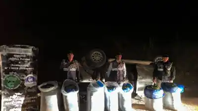 Chocó, se dio a la fuga y lo que llevaba adentro lo dejó sin escapatoria