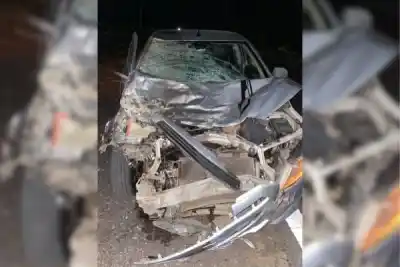Viajaban a Buenos Aires y un animal suelto les cambió el viaje en plena ruta