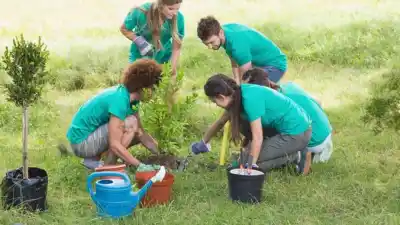 Plantan árboles en Roldán y hay un beneficio para los vecinos que se sumen
