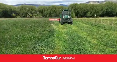 Firmaron un acuerdo para limpiar 17,5 kilómetros de canales en Lago Posadas: cuánto costará y en qué plazo
