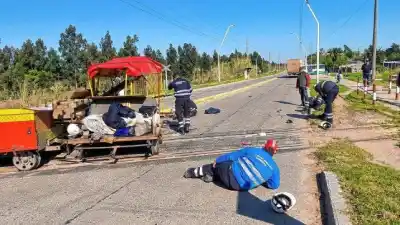 Un camión embistió a una zorra con trabajadores: qué encontraron los testigos