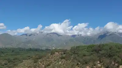 Denuncian que les mataron las cabras y borraron los límites del campo: quién quedó en el medio