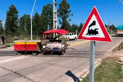 Iba detrás del colectivo y la zorra apareció de golpe: "Le toqué los frenos, pero no pasó nada"
