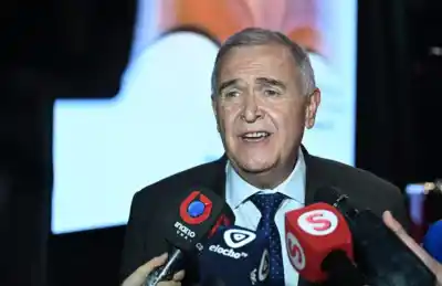 El pedido de Jaldo que cambia lo que pagás de luz: "Refrigeremos el norte"