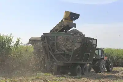 La zafra tucumana ya lleva 144 días: el número que sorprendió a los ingenios
