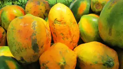 El dato que pone a Jujuy en el mapa del mamón: cuánto aporta al mercado central del país