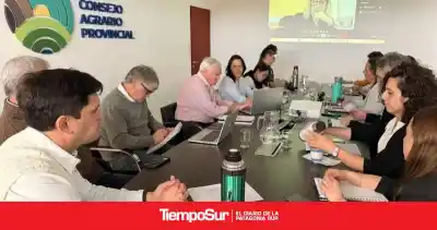 Santa Cruz debate qué hacer con 2,5 millones de guanacos que ya se comen la mitad del forraje