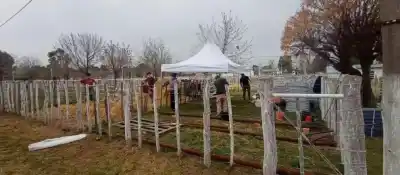 Valle Medio se prepara para un fin de semana a puro campo: lo que nadie quiere perderse en Choele Choel