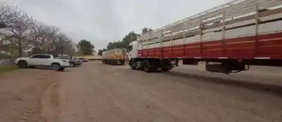 La Rural de Choele Choel recibe su hacienda, pero hay un pedido que cambia todo el calendario