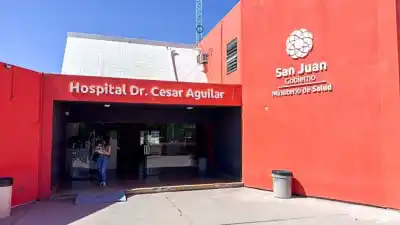 Se tragó una abeja y el aguijón quedó en un lugar imposible: debieron sedarlo para sacarlo
