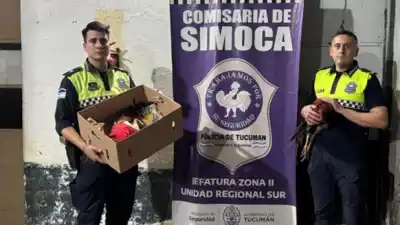 Un auto rojo llamó la atención en Bella Vista y la policía no podía creer lo que llevaba en una caja