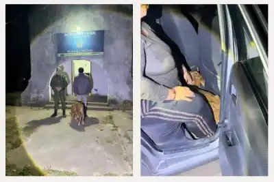 Un control de rutina en Goya terminó con un ternero viajando en el asiento trasero