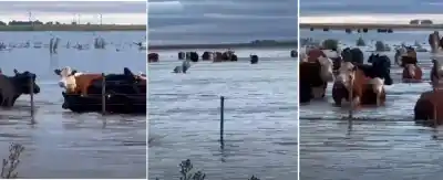 Un temporal arrasó con la luz y un puente clave: la advertencia que sigue vigente