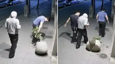 Tres jóvenes destrozaron una maceta en plena madrugada, pero lo que hizo el comercio después los dejó expuestos