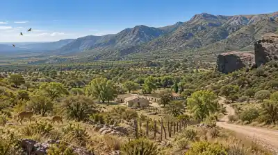 La estancia más grande de Córdoba desapareció del mapa: qué hay hoy en sus 105.000 hectáreas