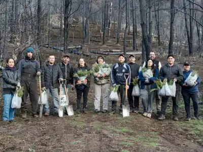 Plantaron 32.000 árboles en Epuyén: la cifra que buscan multiplicar en pocas semanas