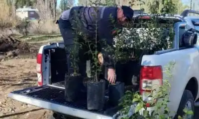 El barrio de Trelew que pidió ayuda y terminó con 70 árboles nuevos