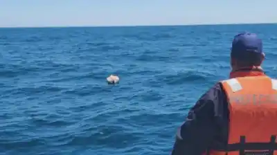 Seis días sin rastro de los kayakistas en Santa Teresita: qué cambia en la búsqueda y por qué el tiempo corre
