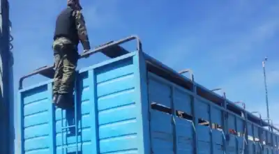 Lo pararon en la ruta con 44 vacas y una sola pregunta los dejó sin respuestas