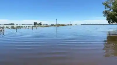 Lluvias intensas en plena cosecha: ¿qué pasa con los campos?