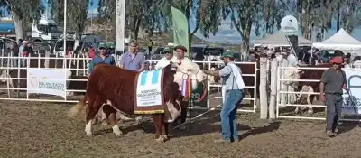 Luis Beltrán se quedó con los dos premios más importantes de la Rural de Choele Choel: nadie esperaba este doblete