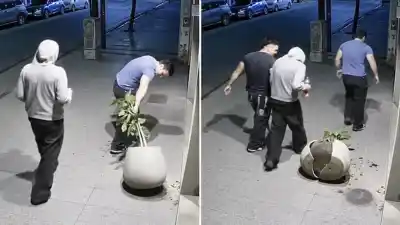 Tres jóvenes destrozaron la fachada de un local tucumano y quedaron filmados: el pedido de los dueños que sorprendió a todos