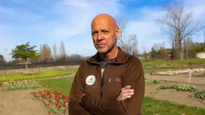 El campo que un piloto descubrió desde el aire y hoy es un paraíso de tulipanes en Guardia Mitre
