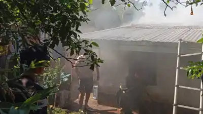 Encendió un espiral para los mosquitos y se fue a bañar: lo que encontró al volver la dejó en shock