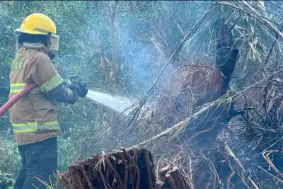 El fuego avanzaba hacia un centro de diagnóstico y los bomberos hicieron algo clave