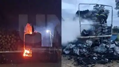 Un incendio en un predio de Colonia Ayuí se llevó más de lo que esperaban