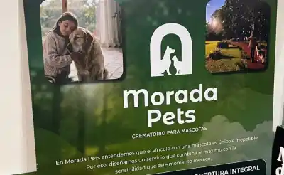 Adiós a la mascota: la despedida que cada vez más familias elige en Misiones